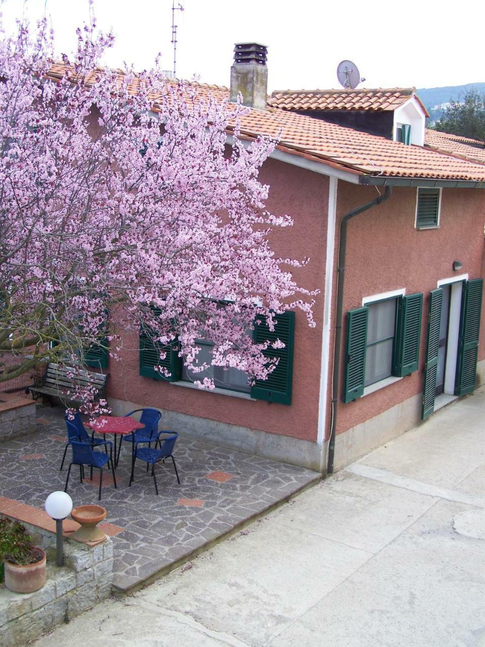 Appartamenti Gli Alberi 카폴리베리 외부 사진
